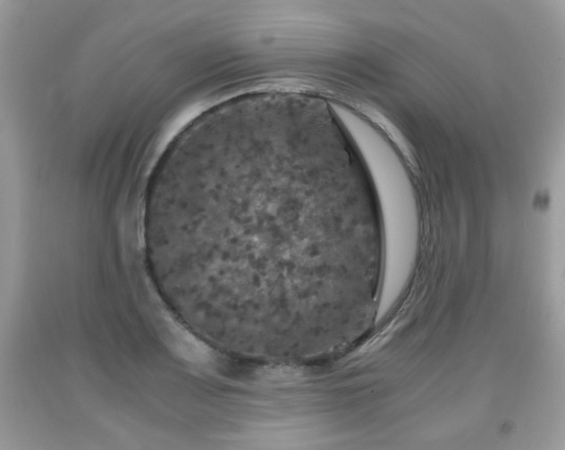 X0000091961083200709131222