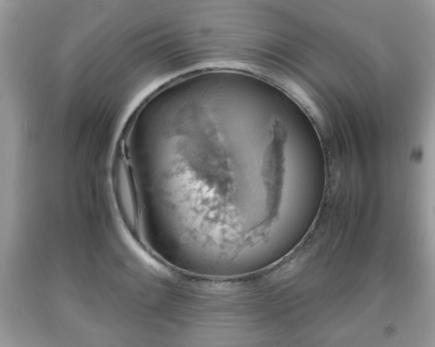 X0000091961084200709131222