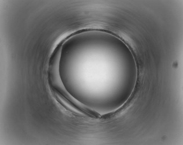 X0000091961085200709131222