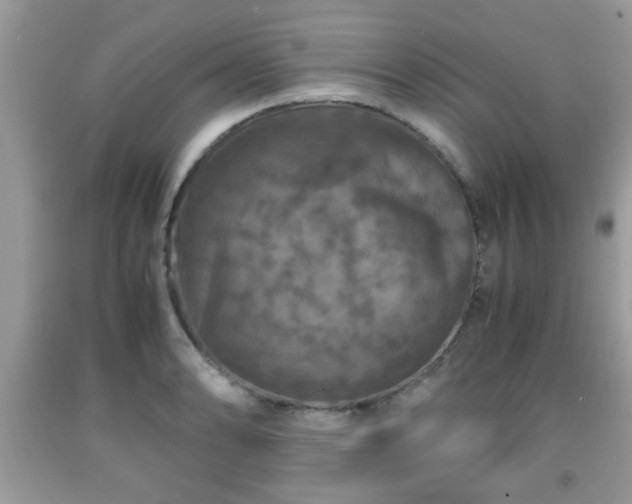 X0000091961086200709131222