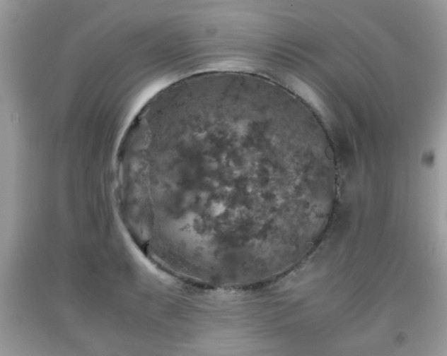 X0000091961087200709131222