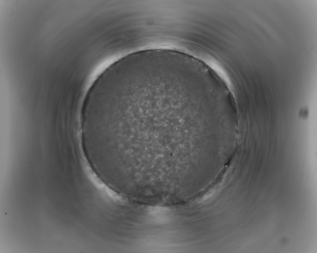 X0000091961088200709131222