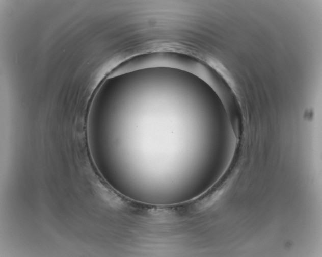 X0000091961089200709131222