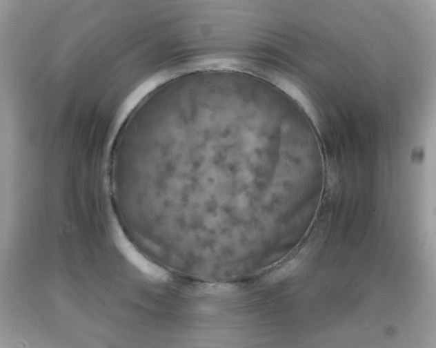 X0000091961090200709131222