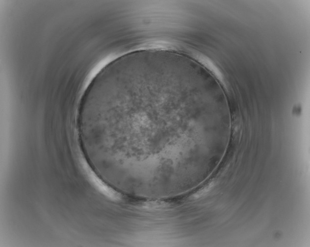 X0000091961091200709131221