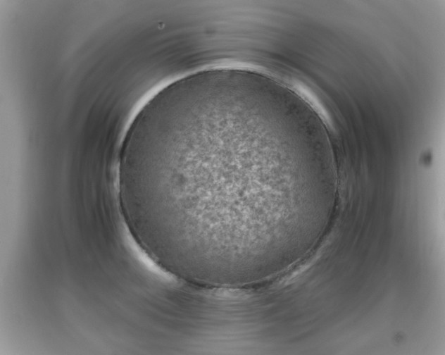 X0000091961092200709131221