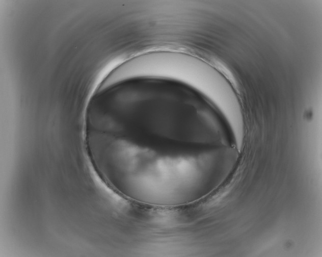 X0000091961095200709131221