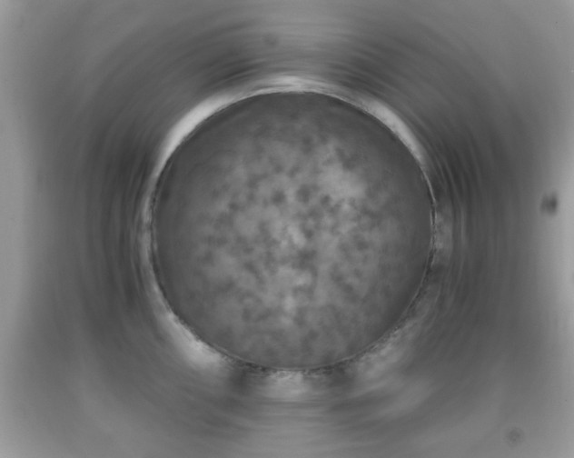 X0000091961098200709131221