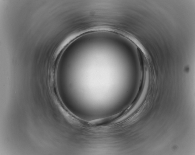 X0000091961101200709131221