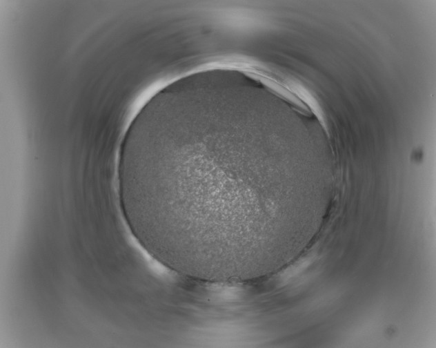 X0000091961103200709131221