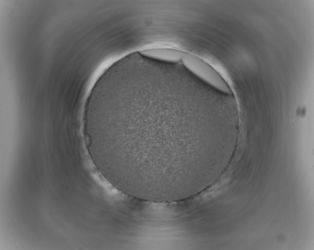 X0000091961104200709131221