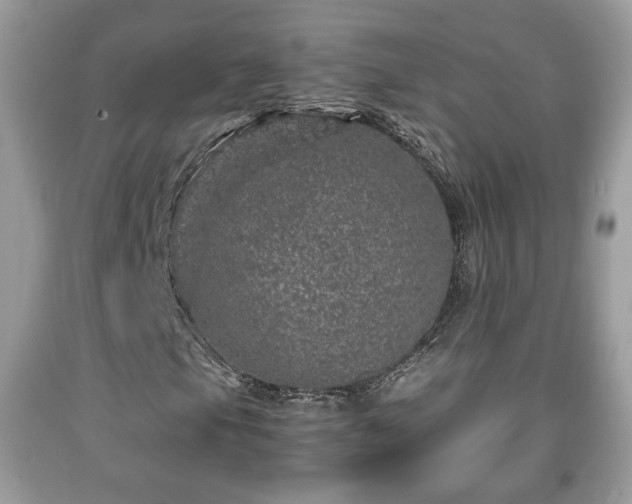 X0000091961105200709131221