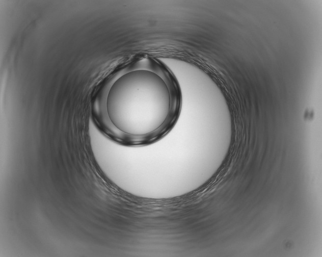 X0000091961108200709131221