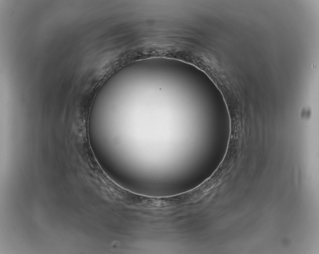 X0000091961109200709131221