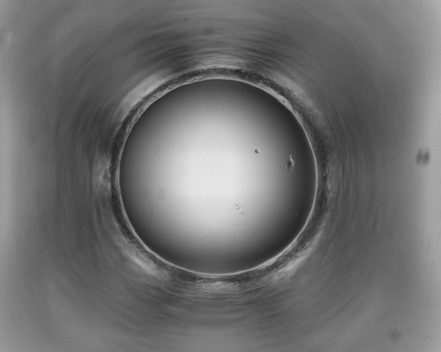 X0000091961113200709131221