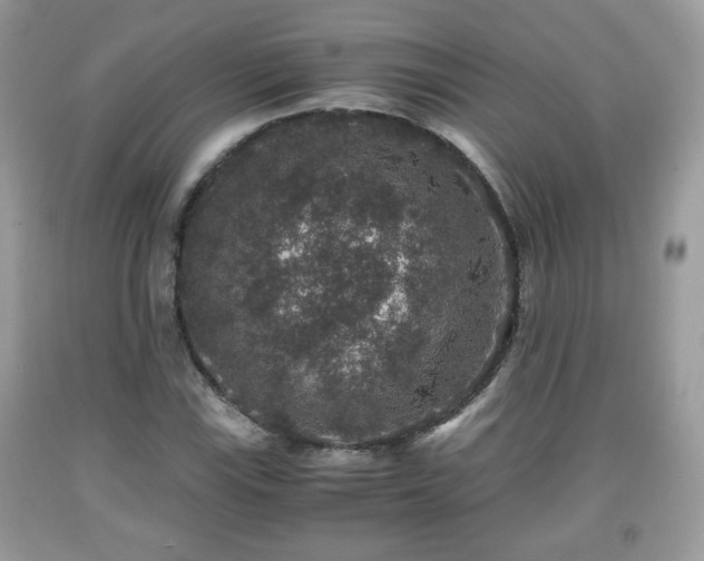 X0000091961115200709131221