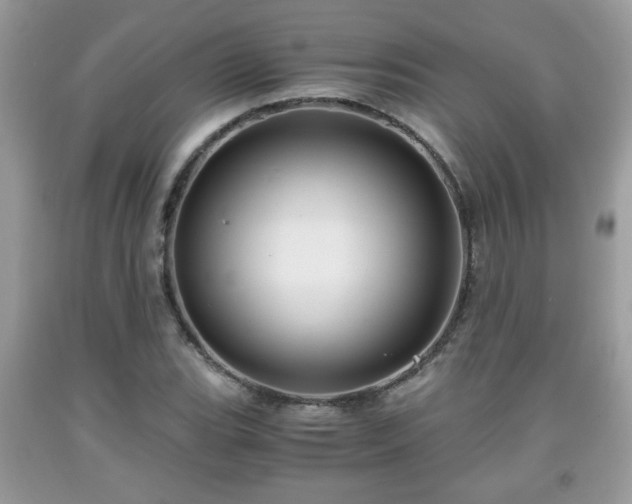 X0000091961119200709131221