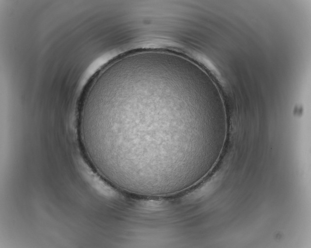 X0000091961122200709131221