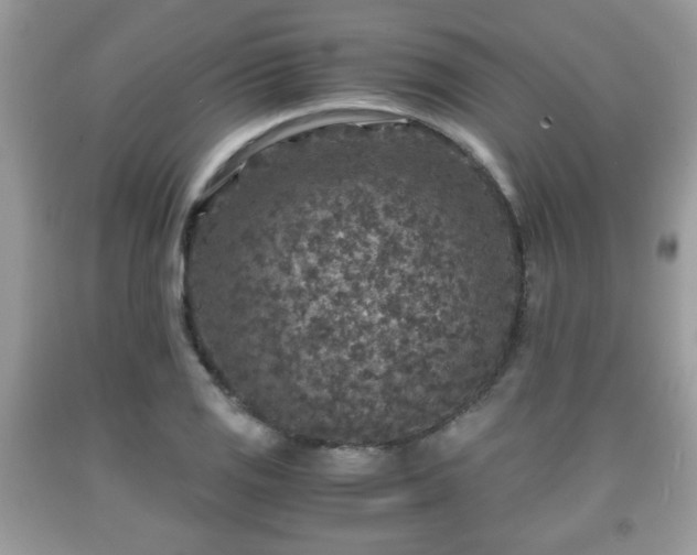 X0000091961125200709131221