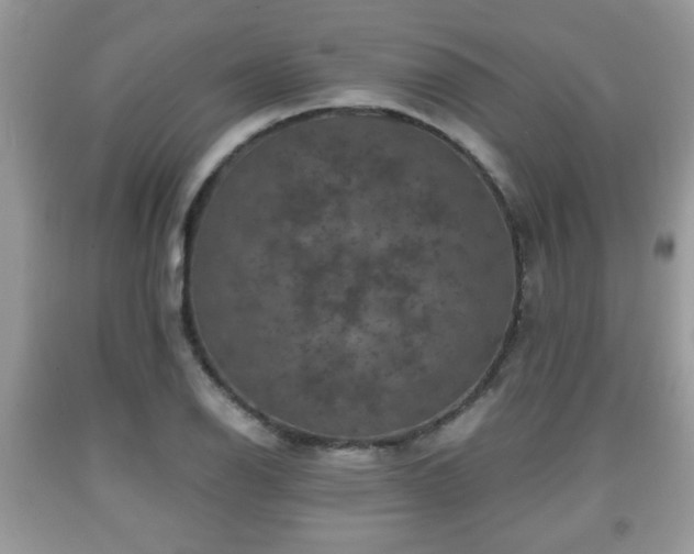 X0000091961126200709131221