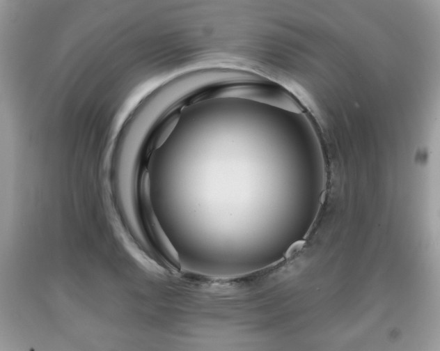 X0000091961128200709131221