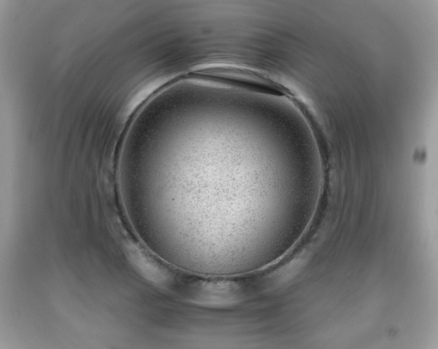 X0000091961129200709131221