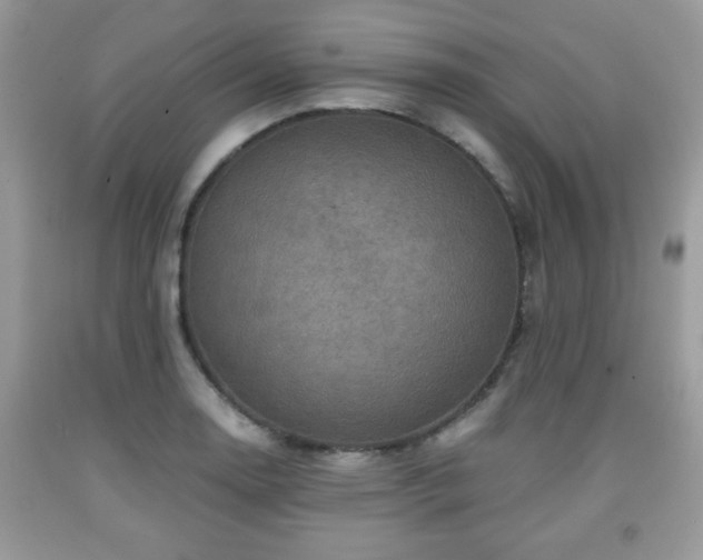 X0000091961130200709131221