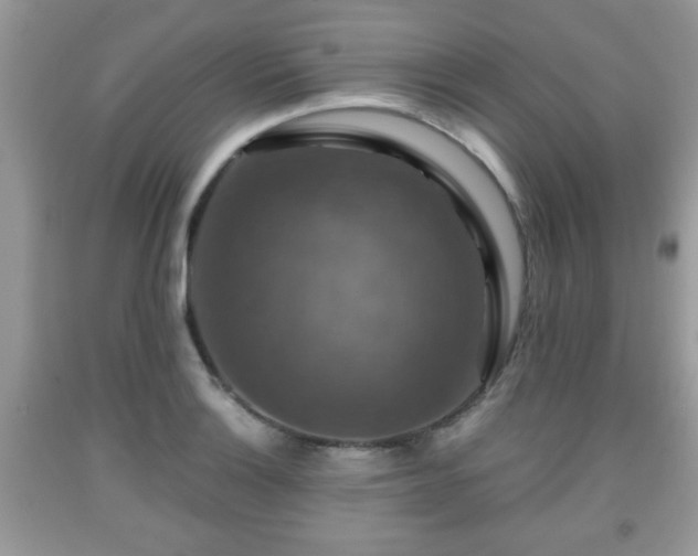 X0000091961132200709131221