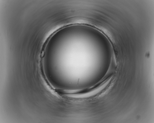 X0000091961134200709131221