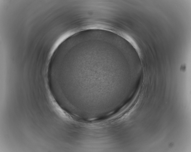 X0000091961138200709131221