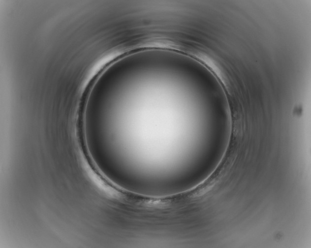 X0000091961139200709131221