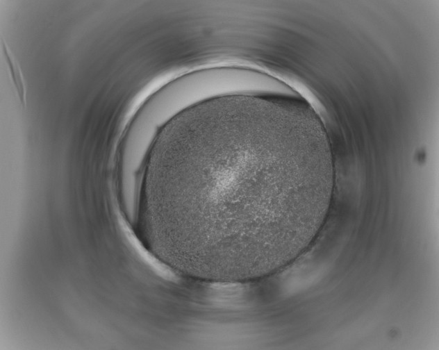 X0000091961142200709131221