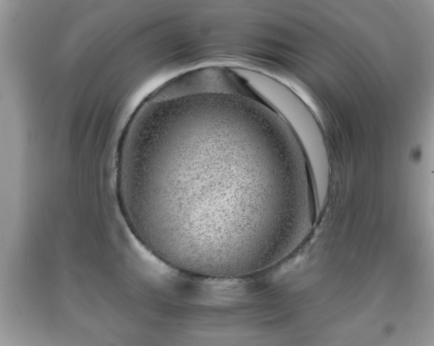 X0000091961143200709131221