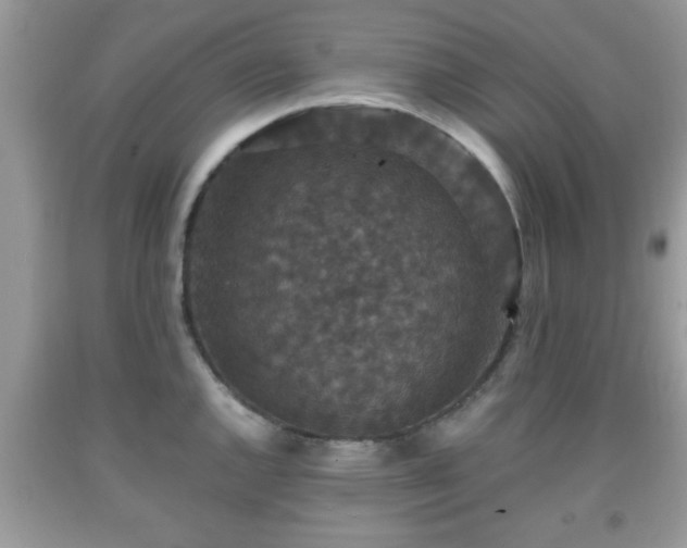 X0000091961144200709131221