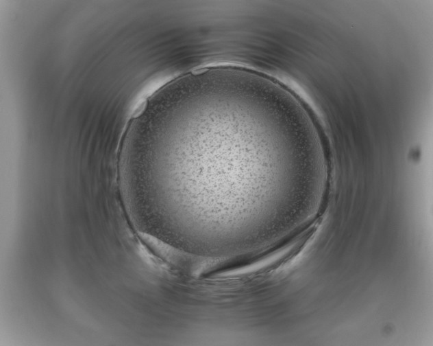 X0000091961145200709131221