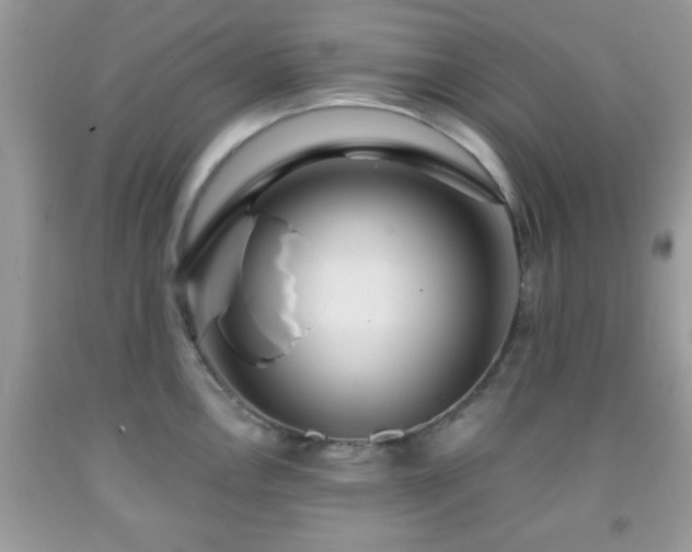 X0000091961146200709131221