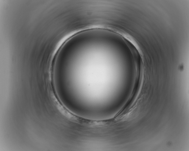 X0000091961148200709131221