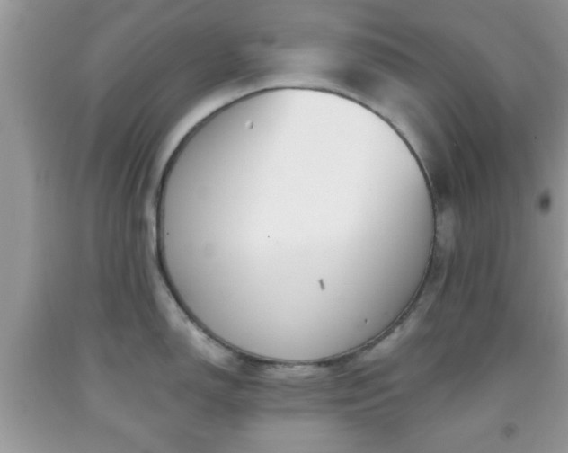 X0000091961150200709131221