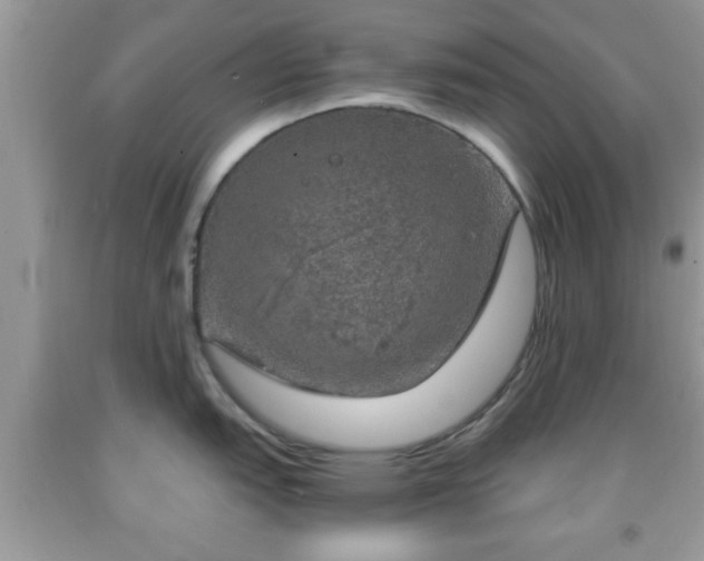 X0000091961151200709131221