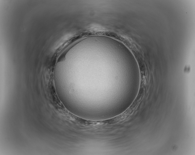 X0000091961157200709131221