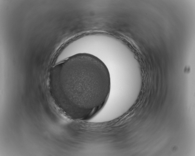 X0000091961160200709131220