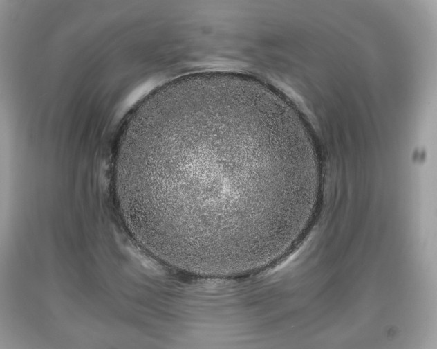 X0000091961163200709131220