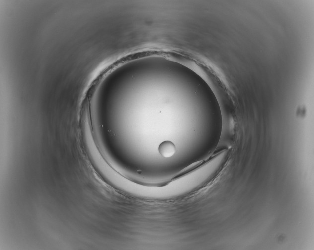 X0000091961168200709131220