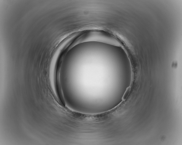 X0000091961169200709131220