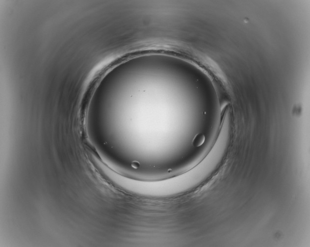 X0000091961172200709131220