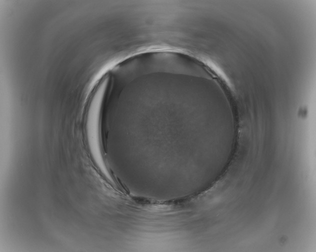 X0000091961173200709131220