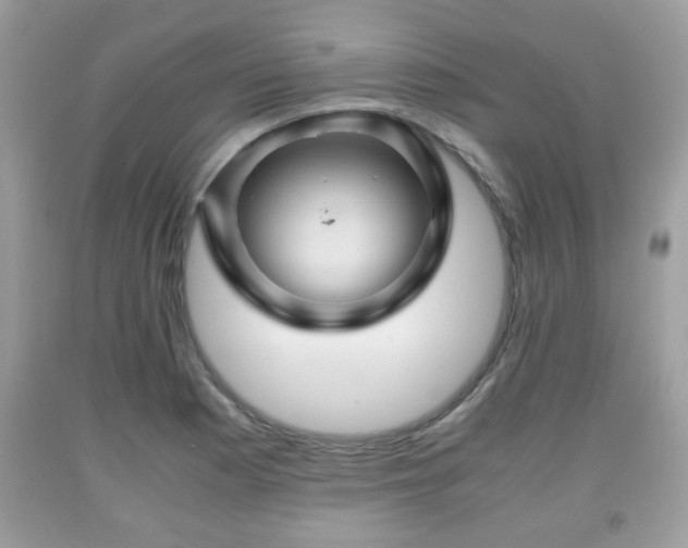 X0000091961177200709131220