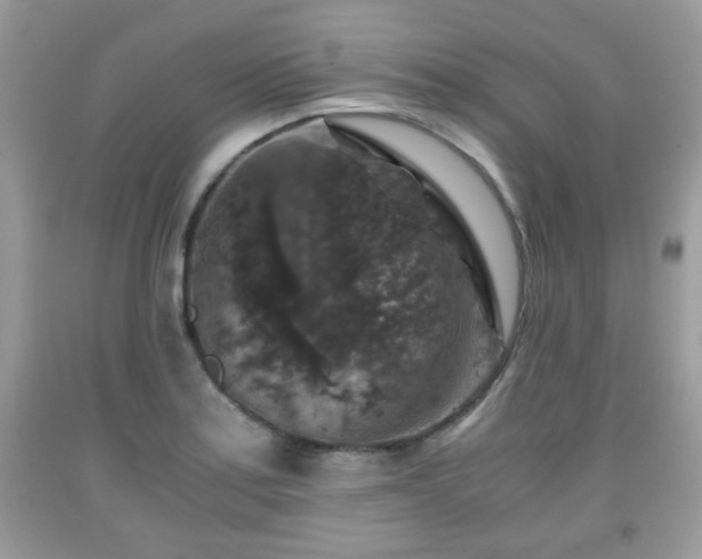 X0000091961179200709131220