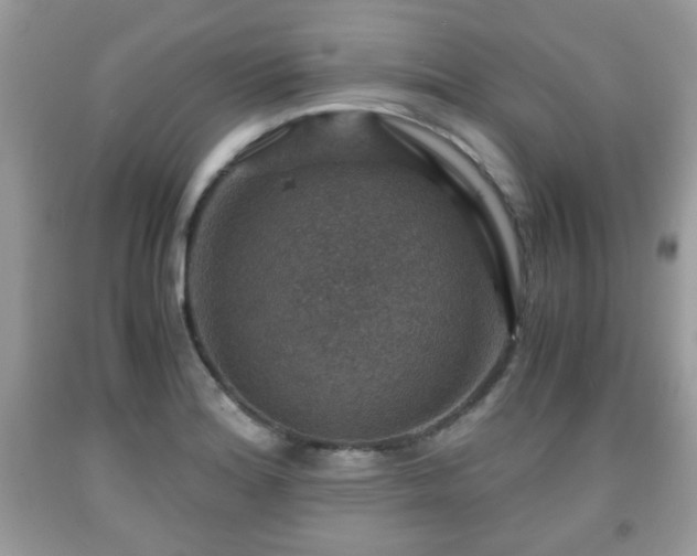 X0000091961180200709131220