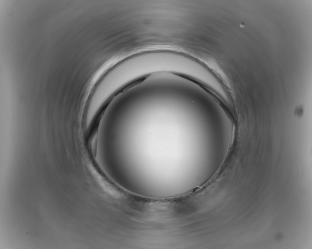 X0000091961181200709131220